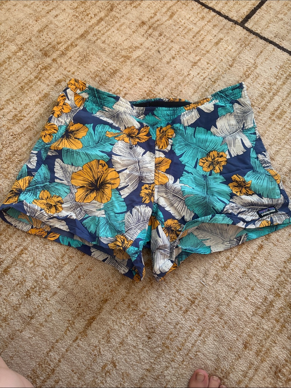 Patagonia 5 inch baggies